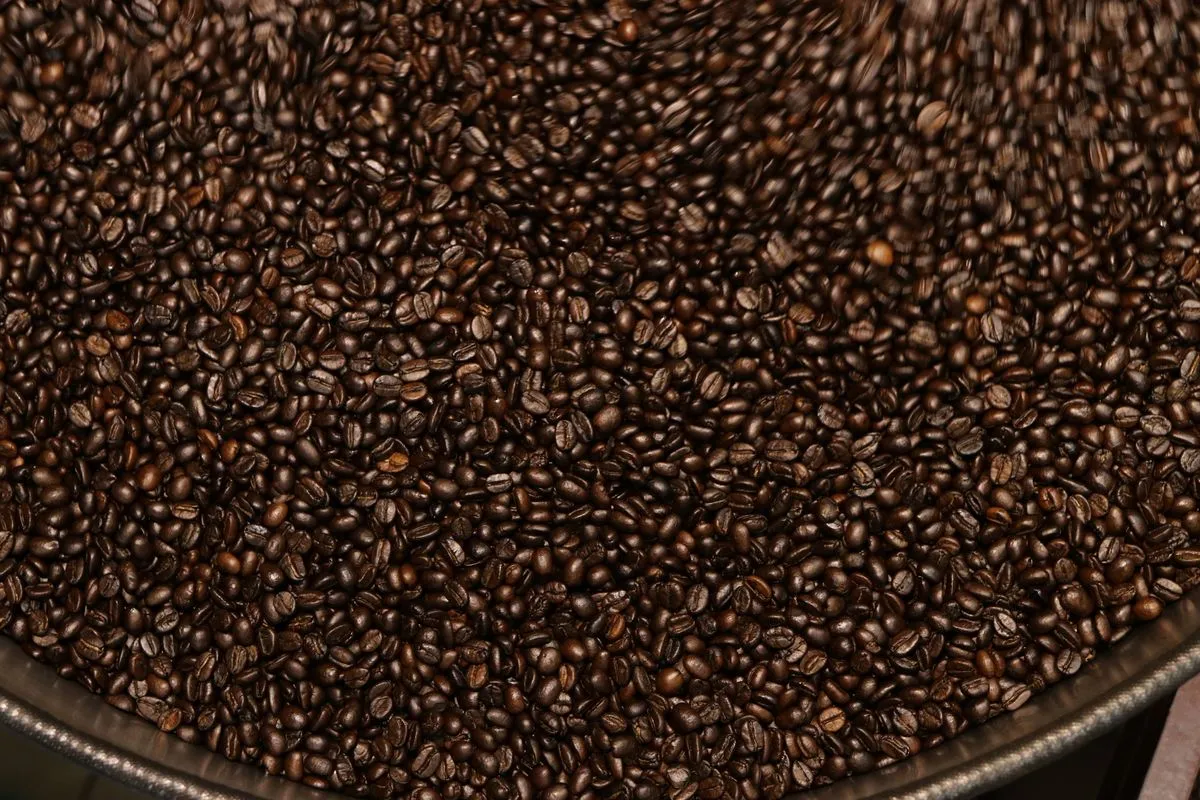 coffee beans bulk