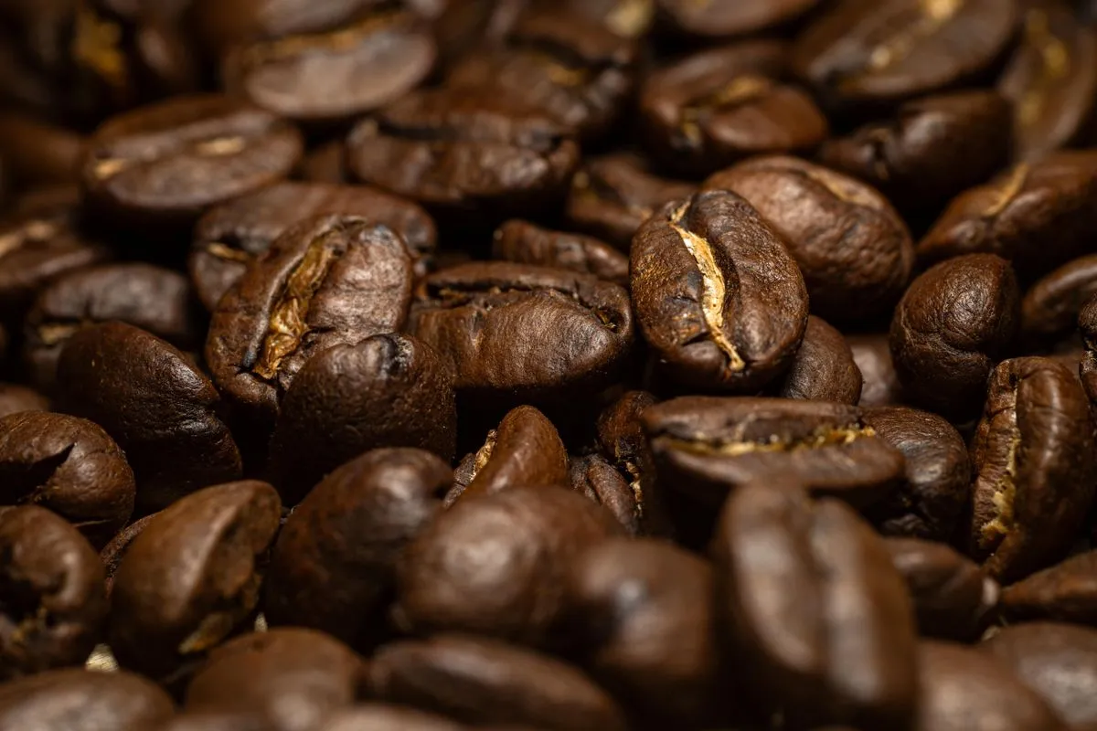 roasted coffee beans